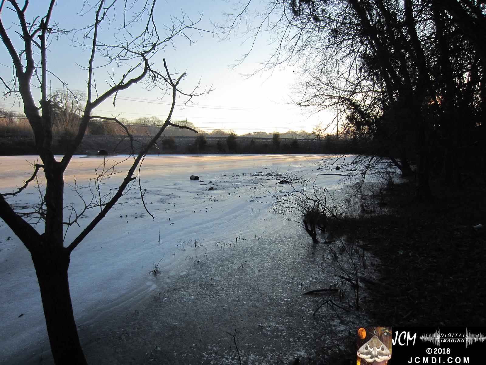 Frozen pond and woods